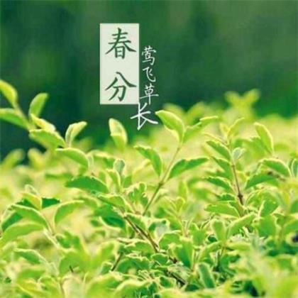 校园宣传标语大全