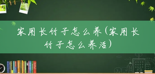 家用长竹子怎么养(家用长竹子怎么养活) 家用长竹子怎么养(家用长竹子怎么养活)