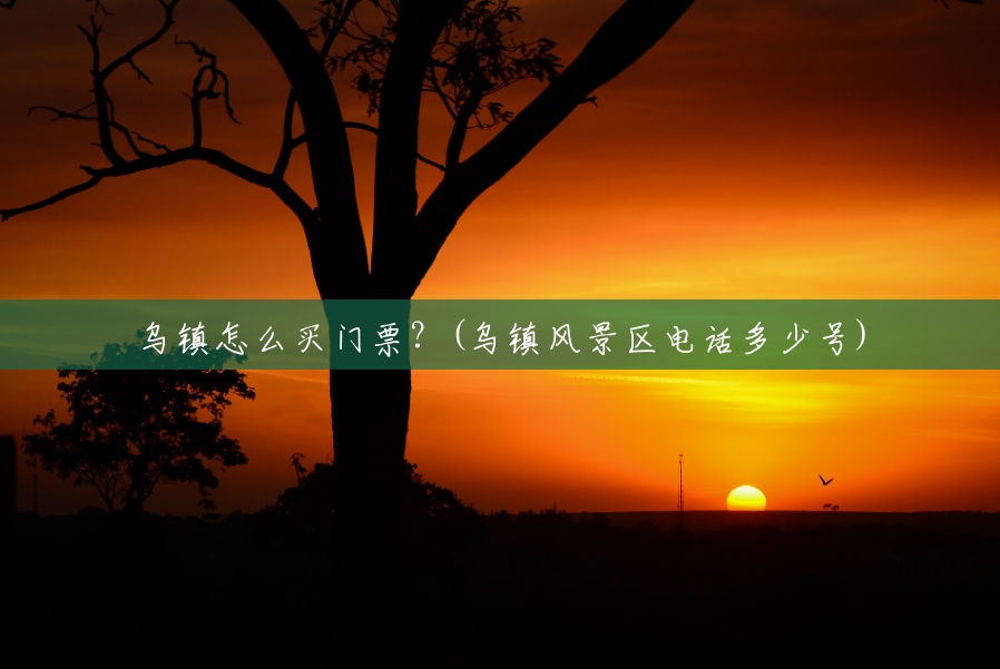 乌镇怎么买门票?(乌镇风景区电话多少号) 乌镇怎么买门票?(乌镇风景区电话多少号)