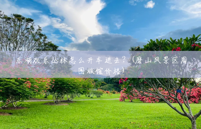 东湖欢乐丛林怎么开车进去？(磨山风景区周围旅馆价格)