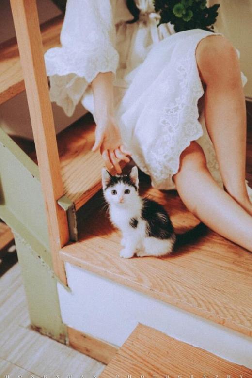 姐妹之情唯美句子