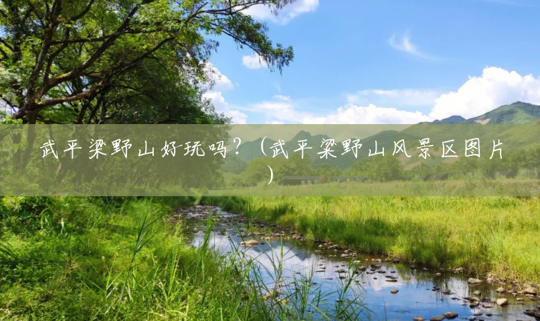 武平梁野山好玩吗?(武平粱野山风景区图片) 武平梁野山好玩吗?(武平粱野山风景区图片)