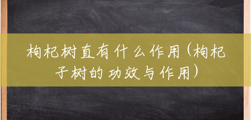 枸杞树直有什么作用(枸杞子树的功效与作用) 枸杞树直有什么作用(枸杞子树的功效与作用)