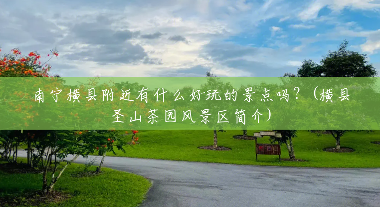 南宁横县附近有什么好玩的景点吗?(横县圣山茶园风景区简介) 南宁横县附近有什么好玩的景点吗?(横县圣山茶园风景区简介)