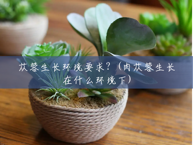 苁蓉生长环境要求?(肉苁蓉生长在什么环境下) 苁蓉生长环境要求?(肉苁蓉生长在什么环境下)