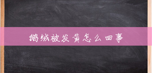 鹅绒被发黄怎么回事 鹅绒被发黄怎么回事