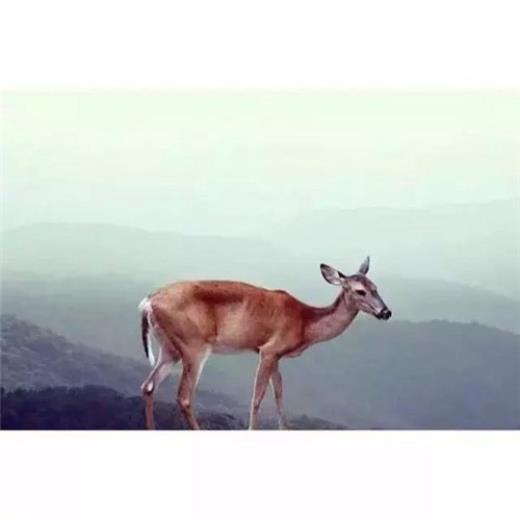 失眠最快入睡的方法