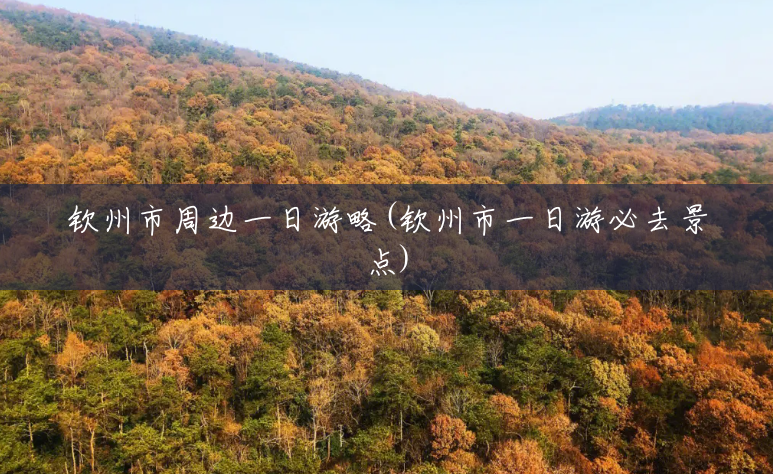 钦州市周边一日游略(钦州市一日游必去景点) 钦州市周边一日游略(钦州市一日游必去景点)