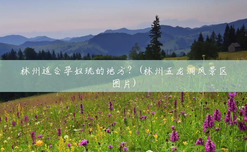 林州适合孕妇玩的地方?(林州五龙洞风景区图片) 林州适合孕妇玩的地方?(林州五龙洞风景区图片)