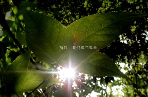 表达快乐心情的一句话