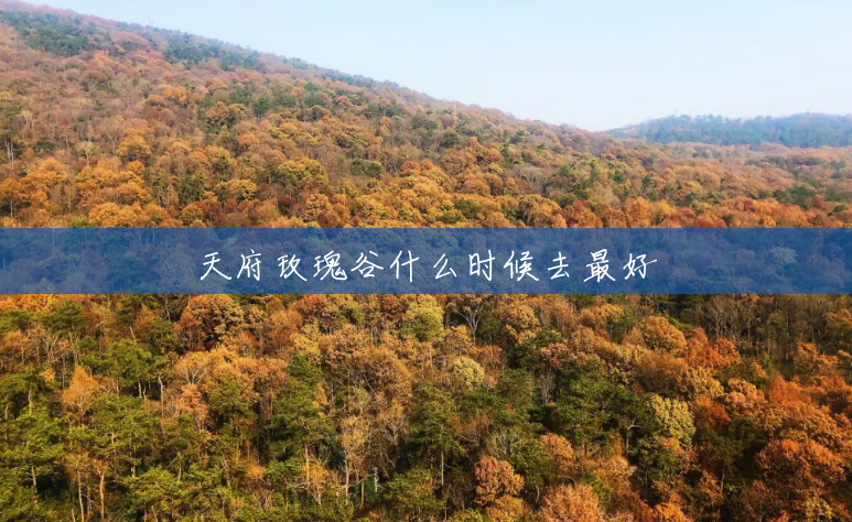 天府玫瑰谷什么时候去最好 天府玫瑰谷什么时候去最好