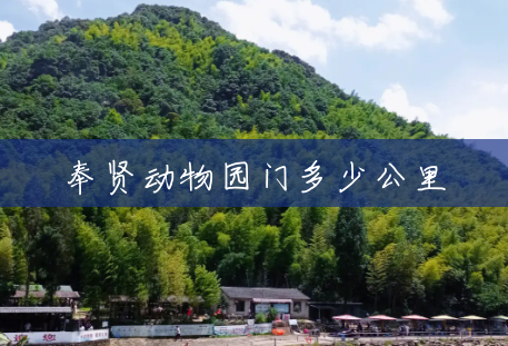 奉贤动物园门多少公里 奉贤动物园门多少公里