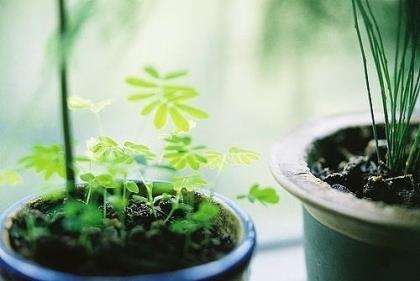 毕业季朋友圈说说