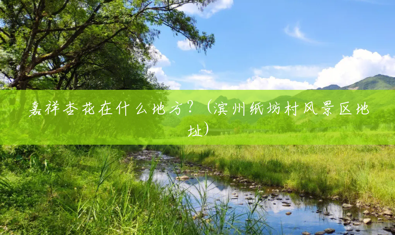 嘉祥杏花在什么地方?(滨州纸坊村风景区地址) 嘉祥杏花在什么地方?(滨州纸坊村风景区地址)
