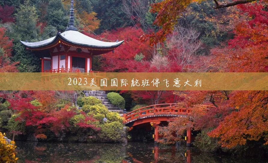 2023美国国际航班停飞意大利 2023美国国际航班停飞意大利