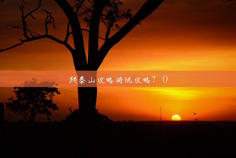 爬泰山攻略游玩攻略?() 爬泰山攻略游玩攻略?()