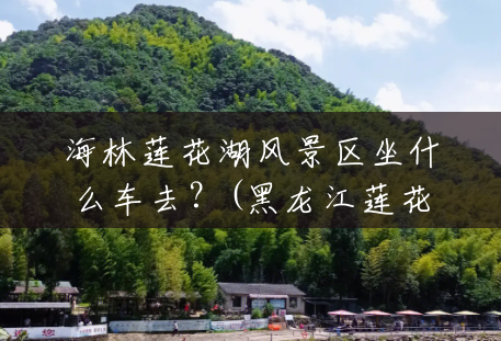 海林莲花湖风景区坐什么车去?(黑龙江莲花湖风景区在哪里) 海林莲花湖风景区坐什么车去?(黑龙江莲花湖风景区在哪里)