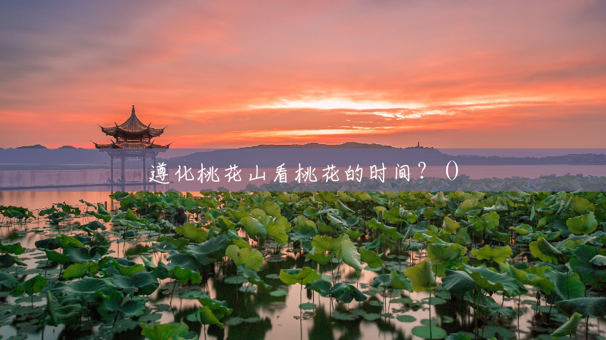 遵化桃花山看桃花的时间?() 遵化桃花山看桃花的时间?()