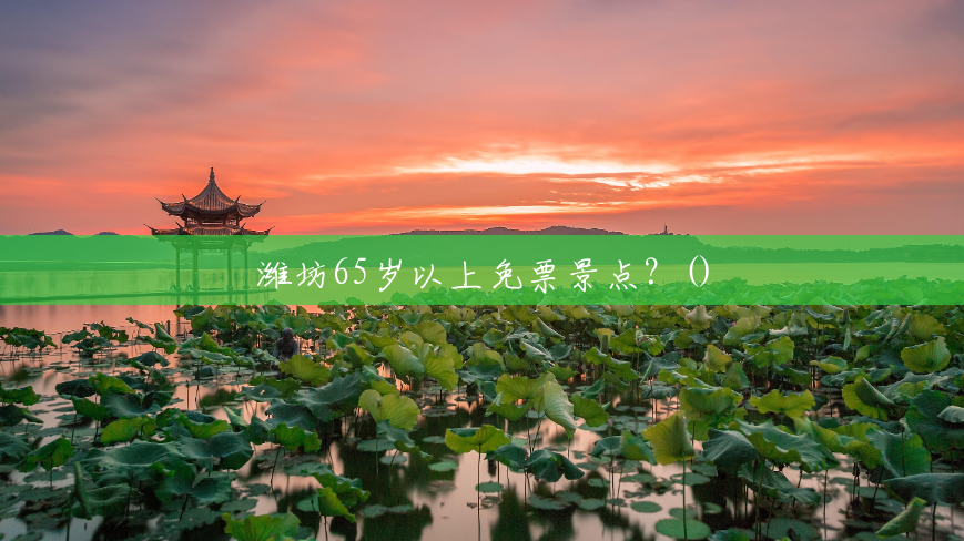 潍坊65岁以上免票景点?() 潍坊65岁以上免票景点?()