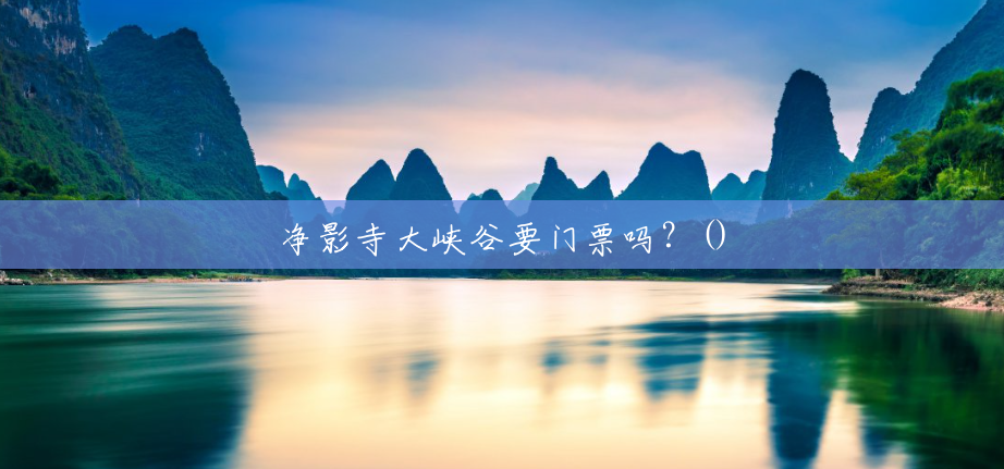 净影寺大峡谷要门票吗?() 净影寺大峡谷要门票吗?()