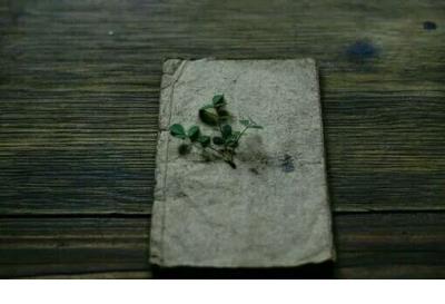 七年级运动会入场口号