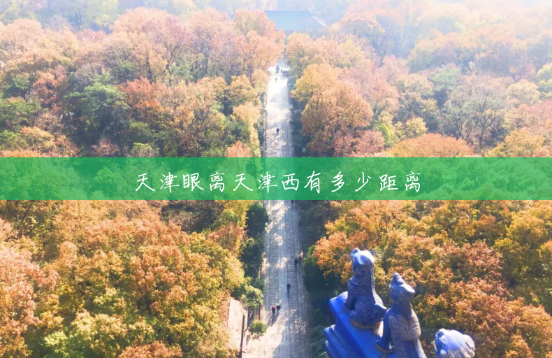 天津眼离天津西有多少距离 天津眼离天津西有多少距离