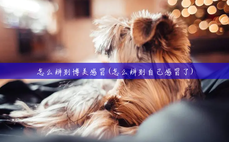 怎么辨别博美感冒(怎么辨别自己感冒了) 怎么辨别博美感冒(怎么辨别自己感冒了)