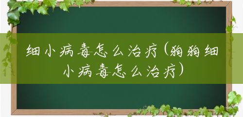 细小病毒怎么治疗(狗狗细小病毒怎么治疗) 细小病毒怎么治疗(狗狗细小病毒怎么治疗)