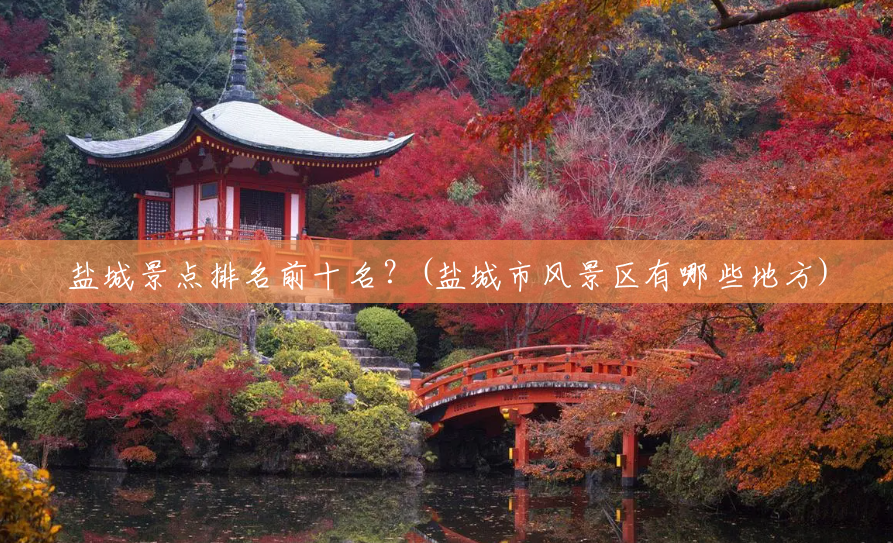 盐城景点排名前十名?(盐城市风景区有哪些地方) 盐城景点排名前十名?(盐城市风景区有哪些地方)