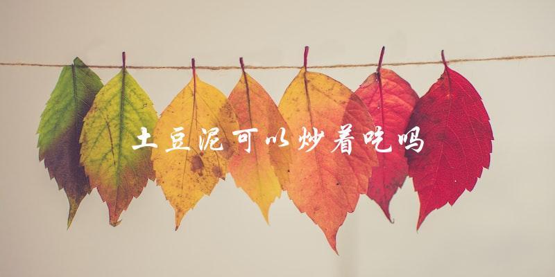 可以炒着吃的土豆泥:真的好吃吗? 可以炒着吃的土豆泥:真的好吃吗?