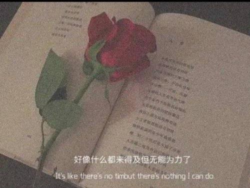 形容大海的美丽的词语