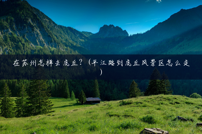 在苏州怎样去虎丘?(平江路到虎丘风景区怎么走) 在苏州怎样去虎丘?(平江路到虎丘风景区怎么走)