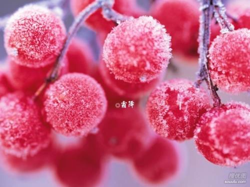 关于自己安慰的句子说说心情