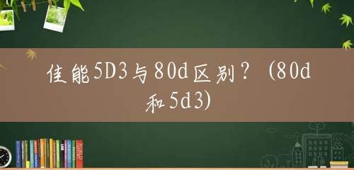 佳能5D3与80d区别？(80d和5d3)