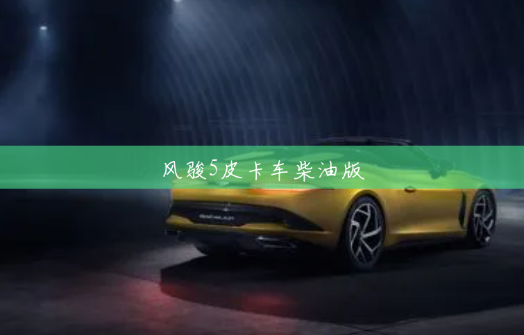 风骏5皮卡车柴油版 风骏5皮卡车柴油版