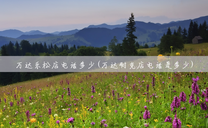 万达乐松店电话多少(万达耐克店电话是多少) 万达乐松店电话多少(万达耐克店电话是多少)