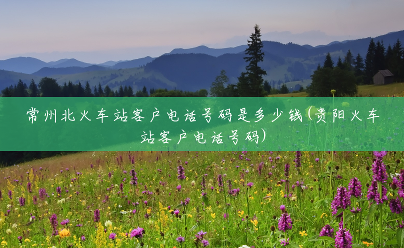 常州北火车站客户电话号码是多少钱(贵阳火车站客户电话号码) 常州北火车站客户电话号码是多少钱(贵阳火车站客户电话号码)