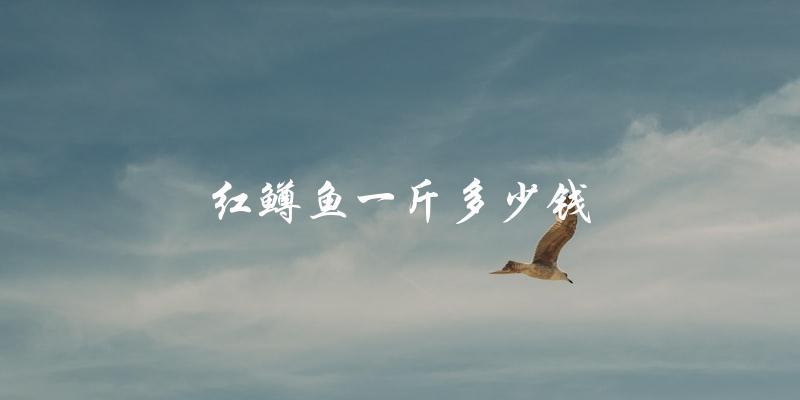 红鳟鱼价格揭秘：一斤多少钱？