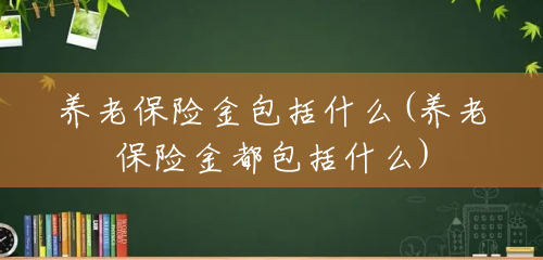 养老保险金包括什么(养老保险金都包括什么) 养老保险金包括什么(养老保险金都包括什么)