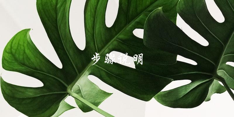 步骤说明 步骤说明