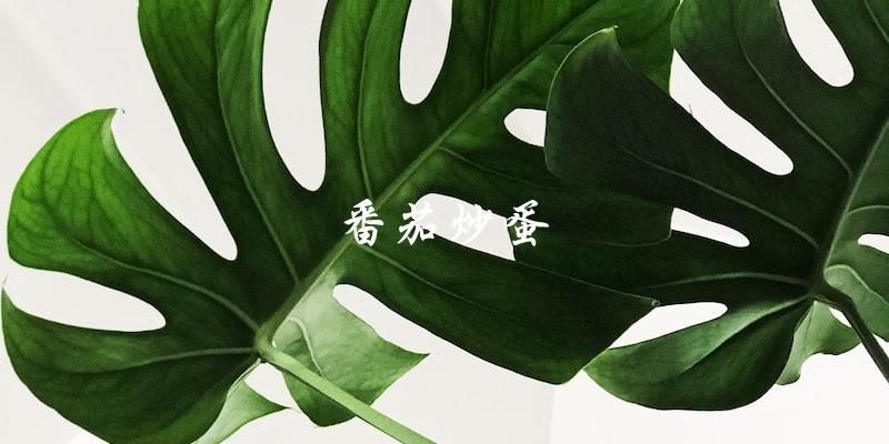 番茄炒蛋 番茄炒蛋