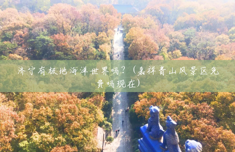 济宁有极地海洋世界吗?(嘉祥青山风景区免费吗现在) 济宁有极地海洋世界吗?(嘉祥青山风景区免费吗现在)