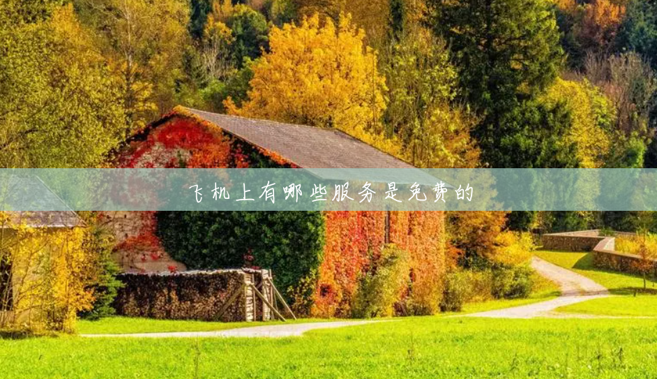 飞机上有哪些服务是免费的