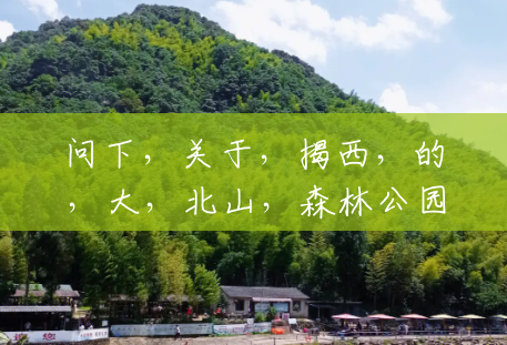 问下，关于，揭西，的，大，北山，森林公园 . . . 环境，如何 . 有，什么，可以，玩，的？(揭西大北山风景区门票多少钱)