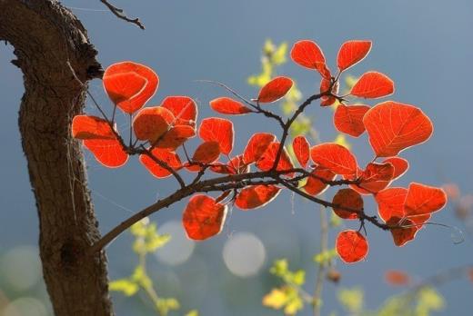 教师节短信温馨祝福语