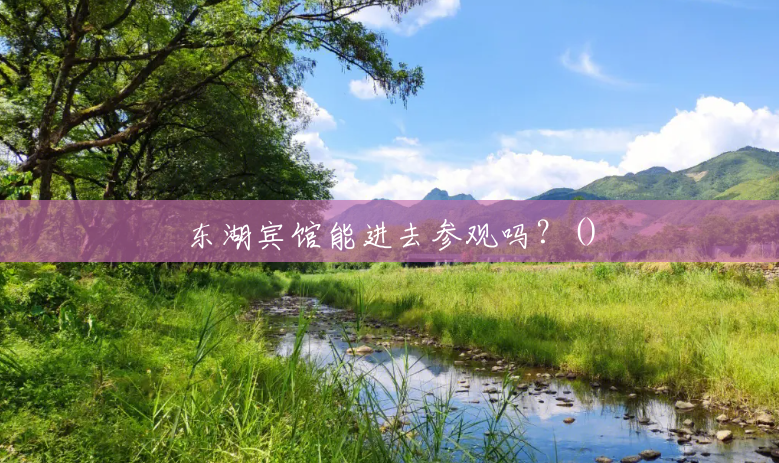 东湖宾馆能进去参观吗?() 东湖宾馆能进去参观吗?()