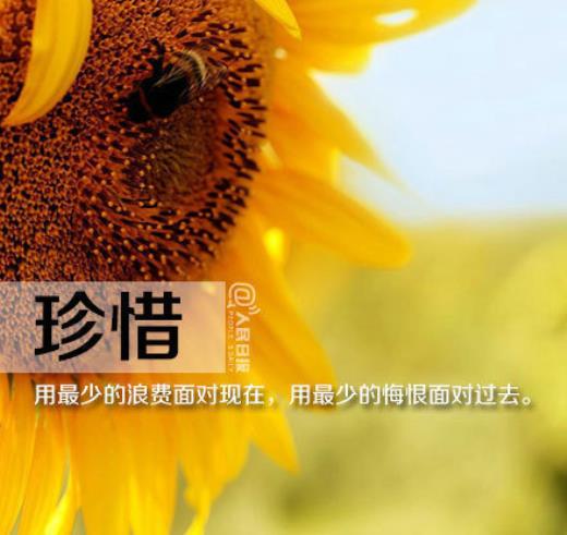 表达内心痛苦的句子