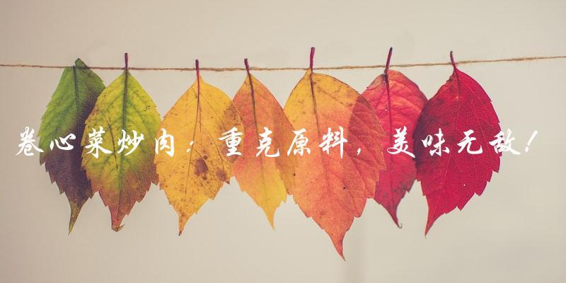 卷心菜炒肉:重克原料,美味无敌! 卷心菜炒肉:重克原料,美味无敌!