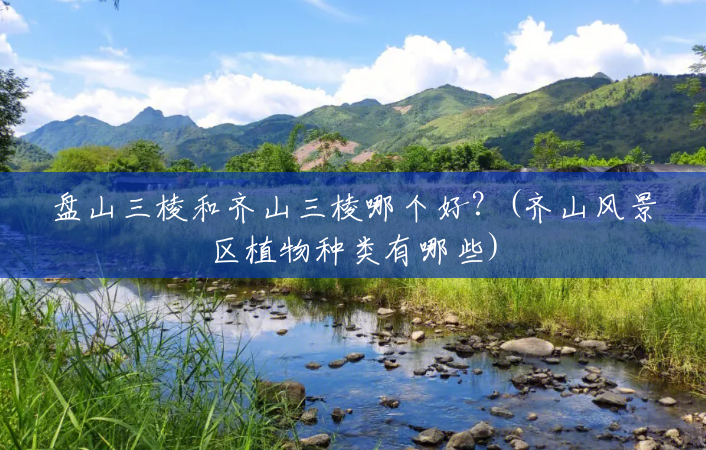 盘山三棱和齐山三棱哪个好?(齐山风景区植物种类有哪些) 盘山三棱和齐山三棱哪个好?(齐山风景区植物种类有哪些)