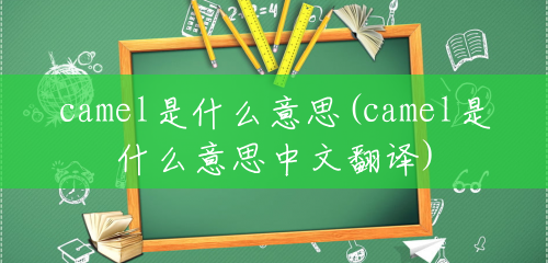 camel是什么意思(camel是什么意思中文翻译) camel是什么意思(camel是什么意思中文翻译)